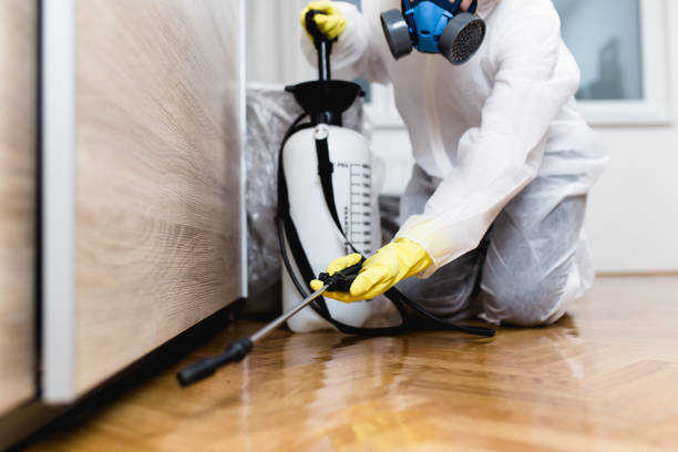 Best Pest Prevention Services  in Keller, TX