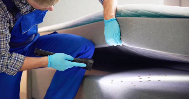 Best Mosquito Control Services  in Keller, TX